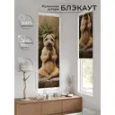 Рулонная штора At Home Артионт 52x170 см цвет бежевый/коричневый/зеленый AT775405