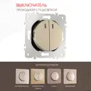 Выключатель проходной встраиваемый Arte milano 385166 1 клавиша с подсветкой цвет шампань