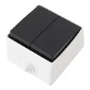 Выключатель встраиваемый Arte milano 385548 2 клавиши цвет серый