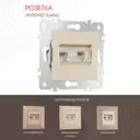 Розетка компьютерная встраиваемая Arte milano 385146 цвет шампань