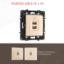 Розетка USB встраиваемая Arte milano 385798 цвет шампань
