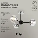 Люстра потолочная Freya Fr5271pl-03b 3 лампы 6 м² цвет черный