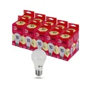 Набор ламп светодиодных Эра Red Б0056190 E27 220-240 В 10 Вт груша матовая белая 800 Лм 10 шт