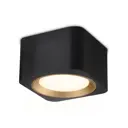 Светильник точечный накладной Ambrella light Tn70832 2 м² цвет черный, золото