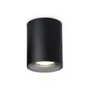 Светильник точечный накладной Ambrella light Tn213137 2 м² цвет черный