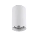Светильник точечный накладной LIGHTSTAR Rullo 214436 цвет белый