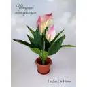 Искусственный спатифиллум Подар.ОК Home 9x12 см цвет розовый,зеленый,коричневый