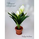Искусственный спатифиллум Подар.ОК Home 9x12 см цвет белый,зеленый,коричневый