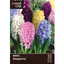 Гиацинт Садовый микс луковицы 14/15 3 шт