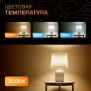 Набор ламп светодиодных Gauss E14 6 Вт Гриб R50 500 Лм 3000 К теплый белый свет, 10 штук