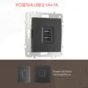 Розетка USB встраиваемая Arte milano 206.46-1.black цвет черный