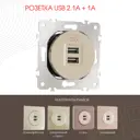 Розетка USB встраиваемая Arte milano 385175 цвет шампань