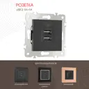 Розетка USB встраиваемая Arte milano 385028 цвет черный