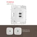Розетка USB встраиваемая Arte milano 385612 цвет серебро
