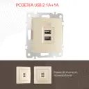 Розетка USB встраиваемая Arte milano 385712 цвет шампань