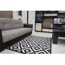 Ковер полипропилен Floare-carpet 150300-5230083-18С31-ДЭ 150x300 см
