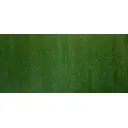 Искусственный газон Prettie Grass BHPF-10 толщина 10мм 1x5м цвет зелены