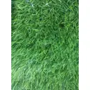 Искусственный газон Prettie Grass BHEP-20 толщина 20 мм 2x30 м (рулон) цвет зелёный