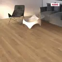 Ламинат Haro Tritty 100 толщина 8мм с фаской дуб флавия натур 1.98м²