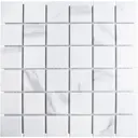 Декоративная мозаика Starmosaic Carrara matt 1237233 30.6x30.6см цвет Белый