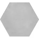 Керамогранит Kerama marazzi Пуату SG23029N 23.1x20см цвет серый, цена за упаковку