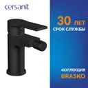 Смеситель для биде Brasko Black 63110 однорычажный цвет черный