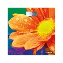 Весы напольные Centek 252131