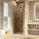 Душевая дверь WasserKRAFT Salm 27I04 90 см