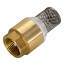 Обратный клапан Стм 1/2" с сеткой