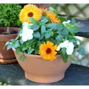 Горшок цветочный 1Z230IZ Deroma 23 см 2.4 л керамика коричневый