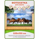 Фотосетка для забора Art Лошади 320x155см