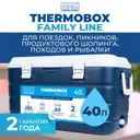 Контейнер изотермический пластиковый Thermobox Camping World Family Line 40 л