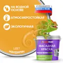 Краска фасадная EUROPAINT В_ЛМ_1111_МАН1 1 л цвет мандарин