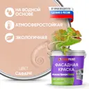 Краска фасадная EUROPAINT В_ЛМ_1111_СФ1 1 л цвет сафари