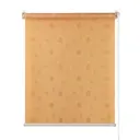 Рулонная штора ПраймДекор Альба 68x170 24068081