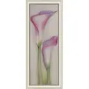 Картина в раме 53122 25x70 см APJ 1058