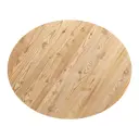 Столешница для стола Дом дерева 50x50x4 см дерево цвет цвет натуральной лиственницы