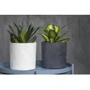 Горшок цветочный Тринити Композит d 14.7 см 14.9 см 1.82 л бетон серый/серебристый