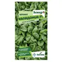 Семена овощей Seminis шпинат Каледония