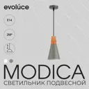 Светильник подвесной Evoluce Sle125173-01 1 лампы 2 м² цвет серый
