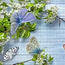 Комплект панелей ПВХ Регул Баттерфляй 960x480x0.30мм 4.58м2 10шт