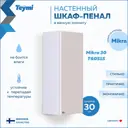 Пенал для ванной Teymi Mikra T60515 подвесной 29.80см цвет белый