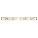 Светодиодная лента MAYTONI Led strip 10170 SMD 5050 60 диод/14.40 Вт/м 24 В IP20 5 м холодный белый свет