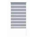 Штора рулонная день-ночь Сиберия 60x160 см серая