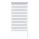 Штора рулонная день-ночь Москва 60x160 см серая