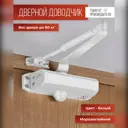 Доводчик дверной Vettore C 80 W 20436 белый