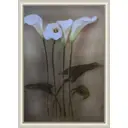 Картина в раме 56260 50x70 см Белые каллы