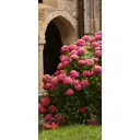 Наклейка для дверей и мебели Wallfix "Розовый куст" 95x220 см, W244