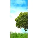 Наклейка для дверей и мебели Wallfix "Деревце" 95x220 см W338