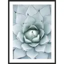 Картина в раме Asplin.art "Каменная роза" 40x30 см